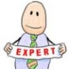 Expertise or expertises?